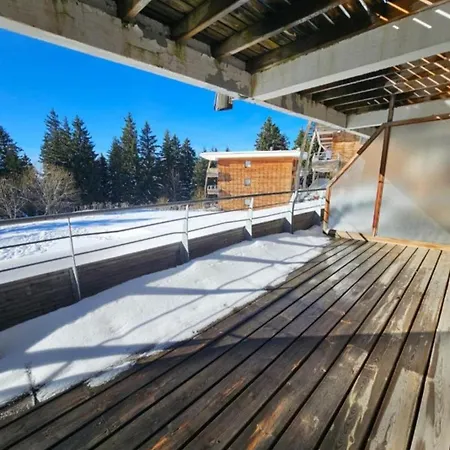 Dfj Des Neiges, Piscine, Pieds Des Pistes Apartment